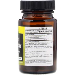 FutureBiotics, Черника, 60 растительных капсул