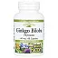 Natural Factors, Фитосомы гинкго двулопастного, 60 мг, 60 капсул