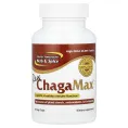 North American Herb & Spice Co., Сырой ChagaMax, 90 растительных капсул