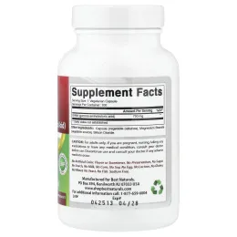 Best Naturals, ГАМК, 750 мг, 100 вегетарианских капсул