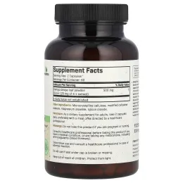 Futurebiotics, гинкго билоба, 500 мг, 120 вегетарианских капсул (250 мг в 1 капсуле)