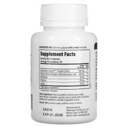 Kyolic, Средство для очищения от кандиды и улучшения пищеварения 102, 100 вегетарианских капсул