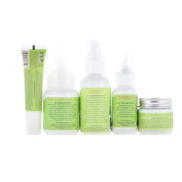 Earth Mama, Кое-что для малыша, набор из 5 предметов