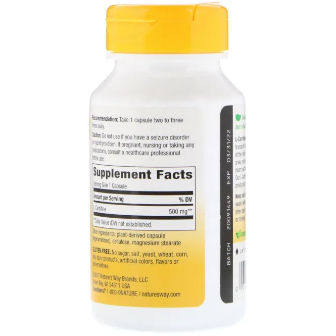 Nature's Way, L-Carnitine, 500 mg, 60 Vegetarian Capsules
