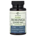 Nobi Nutrition, чистая моринга, 5000 мг, 60 капсул