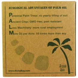 Aloha Bay, Свечи из пальмового воска, чайные свечи, без запаха, кремовые, 12 штук в упаковке