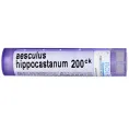 Boiron, Single Remedies, Конский каштан обыкновенный, 200CК, примерно 80 драже