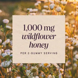 Nature's Way, Sambucus®, жевательные таблетки для укрепления иммунитета, с бузиной и медом из диких цветов, 50 жевательных таблеток