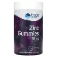 Trace Minerals ®, Жевательные мармеладки с цинком, бузина, 15 мг, 60 жевательных таблеток