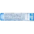 Boiron, Single Remedies, Хинное дерево (Cinchona Officinalis), 6C, приблизительно 80 гранул