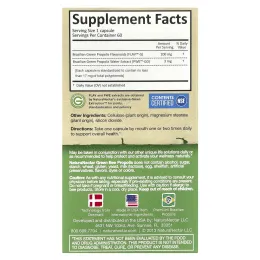 NaturaNectar, Green Bee Propolis, 60 вегетарианских капсул