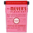 Mrs. Meyers Clean Day, Scented Soy Candle, Peppermint, 4.9 oz (140 g)