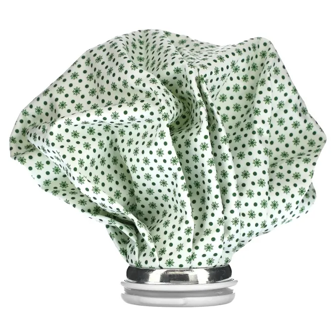 Carex, Мешок для льда, большой, 1 пакет