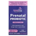 LoveBug Probiotics, пренатальный пробиотик, 20 млрд КОЕ, 30 капсул