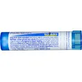 Boiron, Single Remedies, Спонгия тоста, 30 C, прибл. 80 гранул
