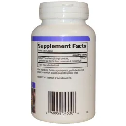 Natural Factors, AcaiRich, Концентрат асаи, 500 мг, 90 капсул