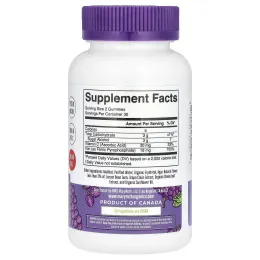 MaryRuth's, жевательные таблетки с железом и витамином C, без сахара, со вкусом винограда, 60 жевательных таблеток