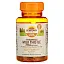 Sundown Naturals, Стандартизированный расторопша, 240 мг, 60 капсул