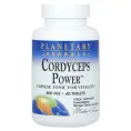 Planetary Herbals, Кордицепс Power CS-4, китайский тоник для жизненной энергии, 800 мг, 60 таблеток