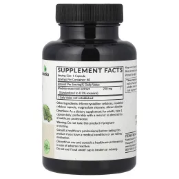 Futurebiotics, родиола розовая (Rhodiola rosea), 60 вегетарианских капсул (250 мг в 1 капсуле)