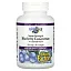 Natural Factors, BlueRich, суперсила, концентрат черники, 500 мг, 90 желатиновых капсул