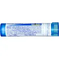 Boiron, Single Remedies, Желтокорень канадский, 6C, прибл. 80 гранул