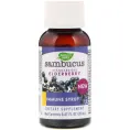 Nature's Way, Sambucus, Стандартизованная бузина, Сироп для иммунитета, 0,67 ж. унц.(20 мл)