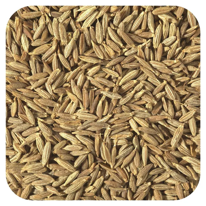 Starwest Botanicals, Органические цельные семена тмина, 1 фунт