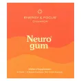NeuroGum, Energy & Focus, корица, 6 пакетиков по 9 шт.