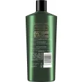 Tresemme, Питательный и восстанавливающий шампунь Botanique, Nourish & Replenish, 650 мл