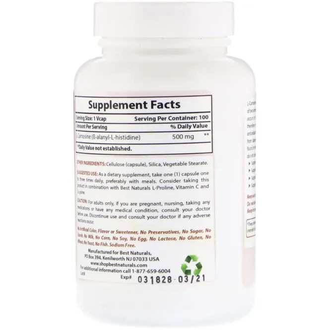 Best Naturals, L-Carnosine, 500 mg , 100 VCaps