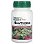 Nature's Plus, Herbal Actives, Боярышник, 150 мг, 60 растительных капсул