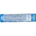 Boiron, Single Remedies, Коллоцинт, 6С, 80 драже