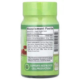 Nature's Truth, Железо, медленное высвобождение, 45 мг, 60 таблеток, покрытых оболочкой