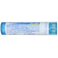 Boiron, Single Remedies, Гистаминовый дихлоргидрат, 6C, прибл. 80 гранул