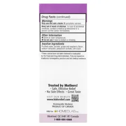 Homeolab USA, Kids Relief, сироп с успокаивающим эффектом, виноградный вкус, 3,4 жидк. унц. (100 мл)