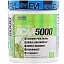 EVLution Nutrition, BCAA 5000, Лимон и Лайм, 9,1 унции (258 г)