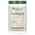 Great Lakes Wellness, Пептиды коллагена, говядина травяного откорма, чай, 284 г (10 унций)