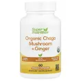 Super Nutrition, органический гриб чага с имбирём, 60 вегетарианских капсул