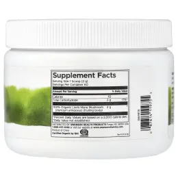Swanson Vitamins, 100% порошок из органического ежовика гребенчатого, 120 г (4,23 унции)