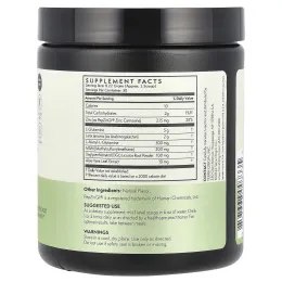 Terra Origin, Healthy Gut, веганская формула, 246,6 г (8,7 унции)