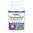 Natural Factors, WellBetX, CinnamonRich, 150 мг, 60 капсул
