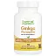 Super Nutrition, Ginkgo Phytosome, фитосомы гинкго, 360 мг, 60 растительных капсул