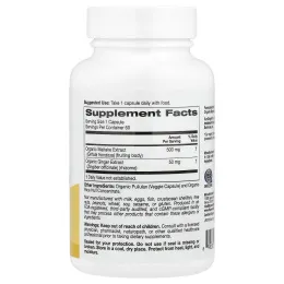 Super Nutrition, органический гриб-баран с имбирём, 60 вегетарианских капсул