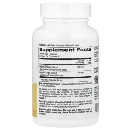 Super Nutrition, органический гриб шиитаке, имбирь, органический пуллулан и концентрат органической рисовой шелухи, 60 вегетарианских капсул