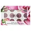 Physicians Formula, Rosé All Play, букет теней для век, 1711516 роза, 13,7 г (0,48 унции)